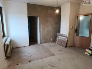 Prodej rodinného domu, Brandov, 330 m2