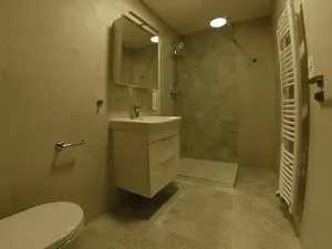 Pronájem bytu 2+kk, Plzeň, Na Jíkalce, 58 m2