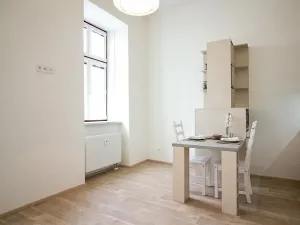 Pronájem bytu 1+kk, Brno, Koliště, 26 m2