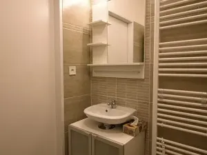 Pronájem bytu 1+kk, Brno, Koliště, 26 m2