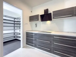 Pronájem rodinného domu, Březno, Pod Lesem, 120 m2