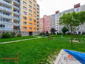 Prodej bytu 3+1, Horní Bříza, Družstevní, 71 m2