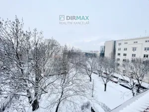 Pronájem bytu 1+kk, Plzeň - Východní Předměstí, Sladkovského, 27 m2