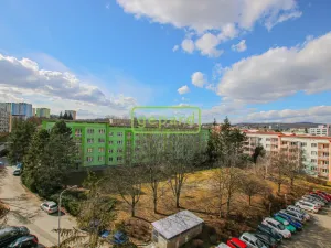 Pronájem bytu 1+1, Brno, Palackého třída, 39 m2