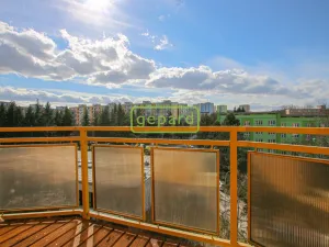 Pronájem bytu 1+1, Brno, Palackého třída, 39 m2