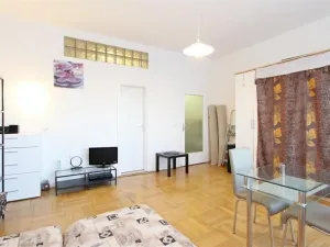 Pronájem bytu 1+kk, Brno - Veveří, Dřevařská, 34 m2