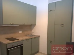 Pronájem bytu 1+1, Praha - Žižkov, Kubelíkova, 47 m2