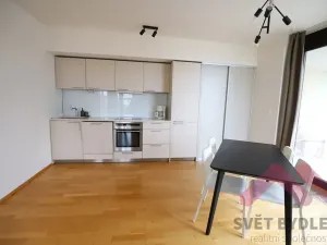 Pronájem bytu 1+kk, Praha - Žižkov, Pitterova, 66 m2