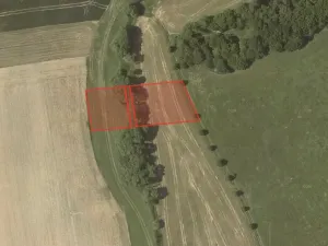 Prodej pole, Ostrov u Macochy, 16065 m2