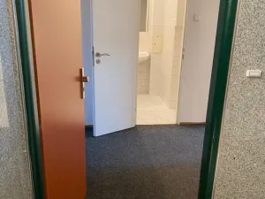 Pronájem bytu 2+kk, Praha - Vysočany, Freyova, 47 m2