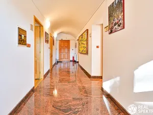 Prodej obchodního prostoru, Cetkovice, Velká Strana, 420 m2