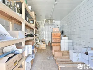 Prodej obchodního prostoru, Cetkovice, Velká Strana, 420 m2