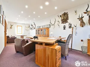 Prodej obchodního prostoru, Cetkovice, Velká Strana, 420 m2