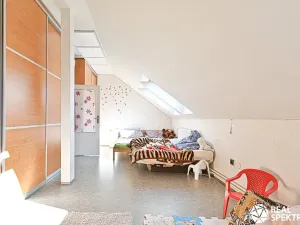 Prodej obchodního prostoru, Cetkovice, Velká Strana, 420 m2