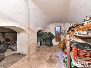 Prodej obchodního prostoru, Cetkovice, Velká Strana, 420 m2