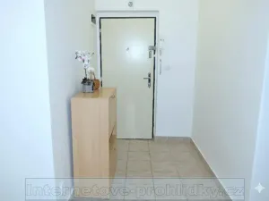 Pronájem pokoje, Praha - Břevnov, Tejnka, 22 m2