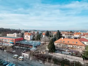 Pronájem bytu 1+kk, Praha - Žižkov, Malešická, 38 m2