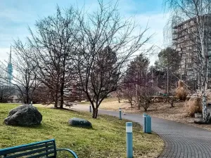 Pronájem bytu 1+kk, Praha - Žižkov, Malešická, 38 m2