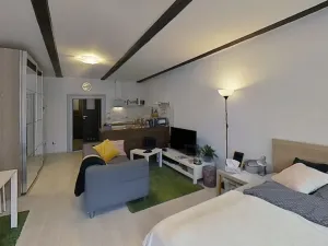 Pronájem bytu 1+kk, Jihlava, Husova, 46 m2