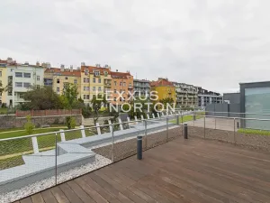 Pronájem bytu 4+kk, Praha - Smíchov, Holečkova, 211 m2