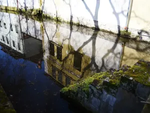 Prodej rodinného domu, Pardubice, Kostelní, 300 m2