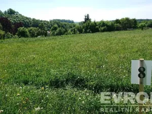 Prodej pozemku pro bydlení, Černý Důl, 1370 m2