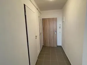 Pronájem bytu 1+kk, Praha - Nusle, Žateckých, 29 m2