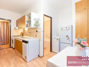 Prodej bytu 2+1, Olomouc, Sienkiewiczova, 52 m2