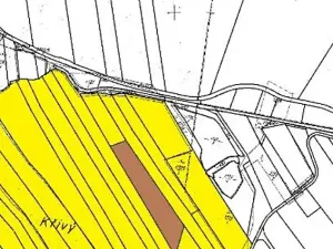 Prodej podílu lesa, Dolní Cerekev, 11817 m2