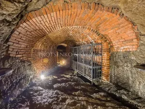 Prodej obchodního prostoru, Třebíč, Blahoslavova, 566 m2