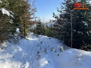 Prodej lesa, Horní Radechová - Slavíkov, 51351 m2