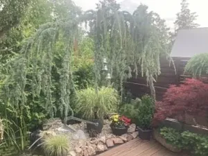 Prodej rodinného domu, Krupka, Na Vyhlídce, 50 m2