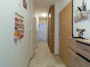 Prodej bytu 3+1, Milovice - Mladá, Spojovací, 67 m2