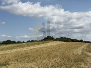 Prodej zahrady, Strážnice, Veselská, 3867 m2