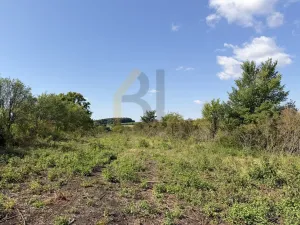 Prodej zahrady, Strážnice, Veselská, 3867 m2