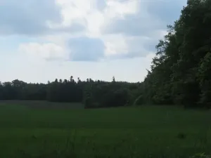 Dražba pole, Niva, 7239 m2