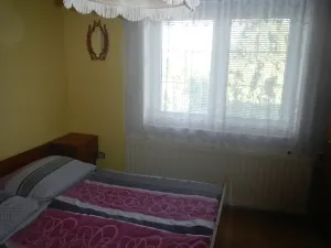 Dražba rodinného domu, Nasavrky, 231 m2