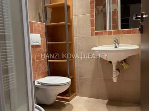 Pronájem bytu 2+kk, České Budějovice - České Budějovice 3, Nádražní, 60 m2