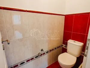 Prodej vícegeneračního domu, Srubec, 334 m2