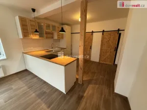 Pronájem bytu 2+kk, Jílové, Mírové nám., 52 m2