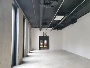 Pronájem obchodního prostoru, Praha, Kladenská, 188 m2