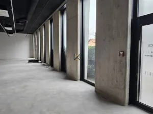 Pronájem obchodního prostoru, Praha, Kladenská, 188 m2