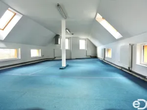 Pronájem obchodního prostoru, Vyžlovka, Pražská, 300 m2