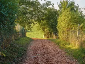 Prodej pozemku pro bydlení, Bystřany - Úpořiny, 14443 m2