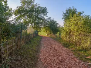 Prodej pozemku pro bydlení, Bystřany - Úpořiny, 14443 m2