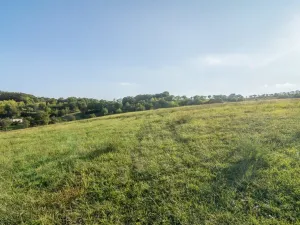 Prodej pozemku pro bydlení, Bystřany - Úpořiny, 14443 m2