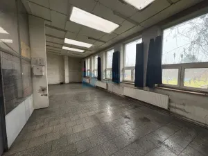 Prodej výrobních prostor, Prostějov, Husovo nám., 333 m2