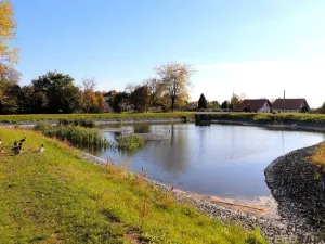 Pronájem bytu 2+1, Pozořice, Holubická, 55 m2