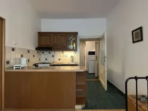 Pronájem bytu 2+kk, Praha - Holešovice, Komunardů, 50 m2