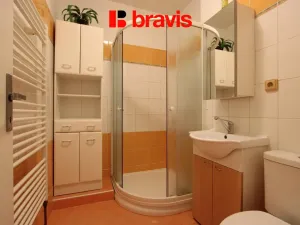 Pronájem bytu 1+kk, Neslovice, Školní, 31 m2